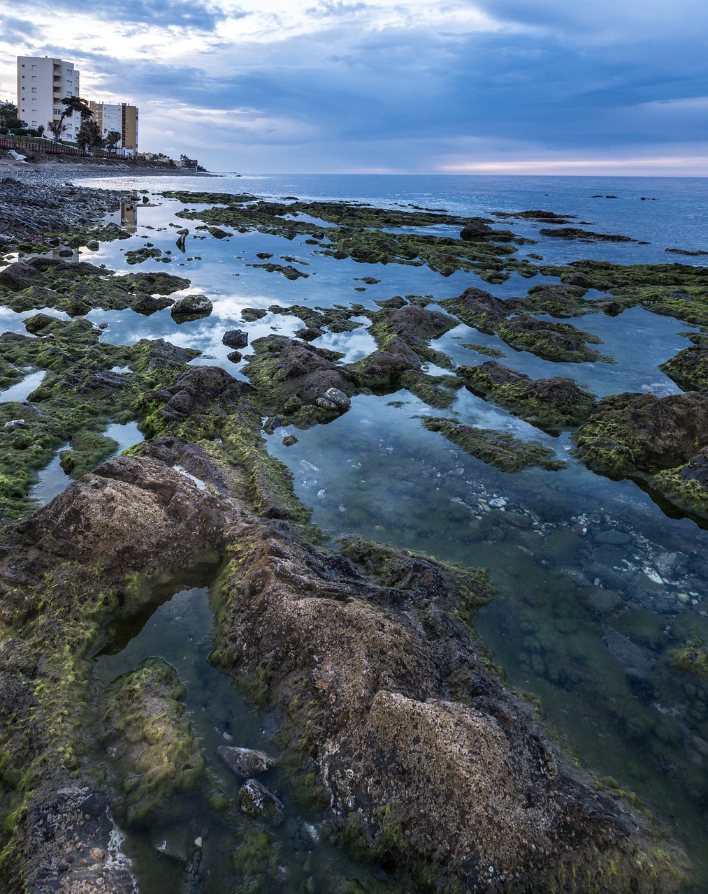 shore beach dawn free photo