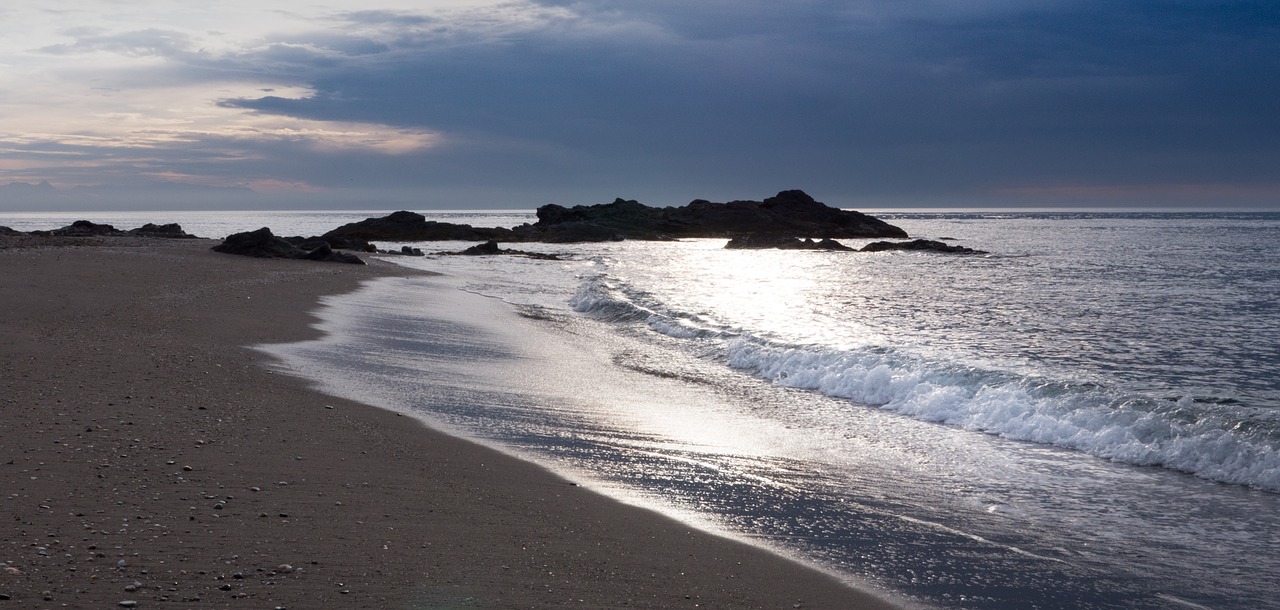 shore beach dawn free photo