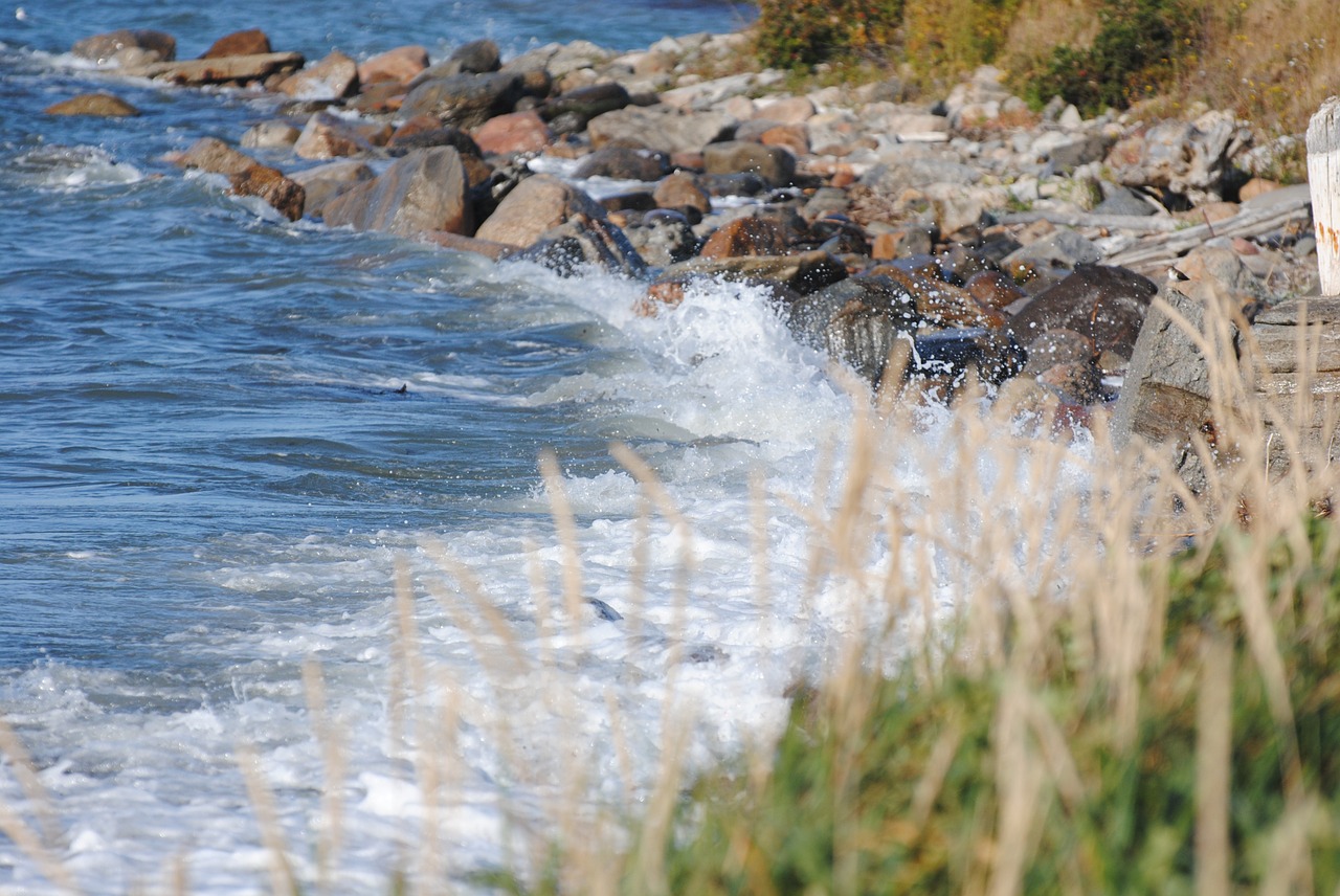 shore sea side free photo