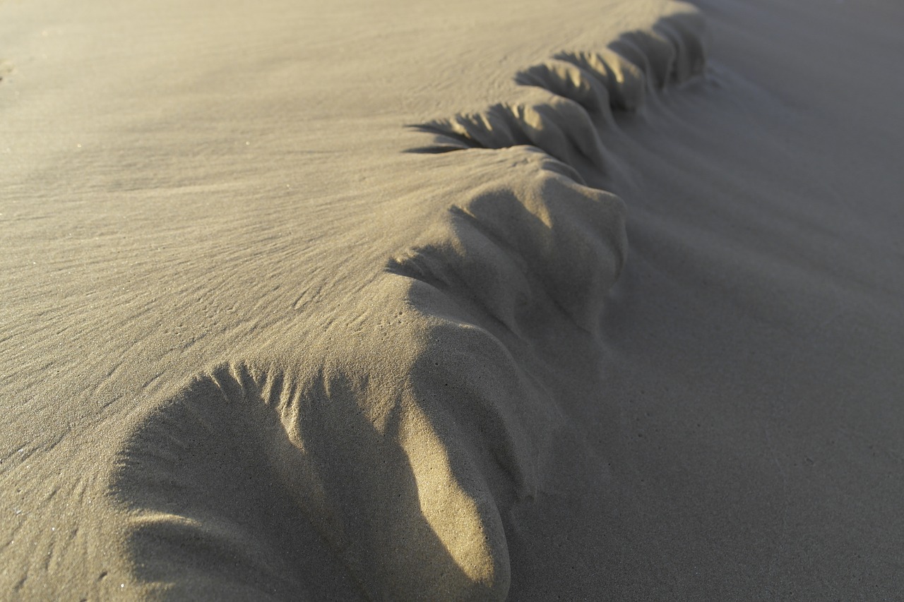 shore foreshore summer free photo