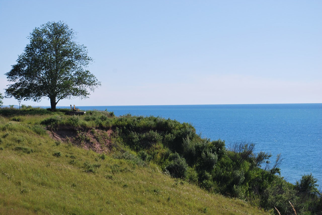 shore lake trees free photo