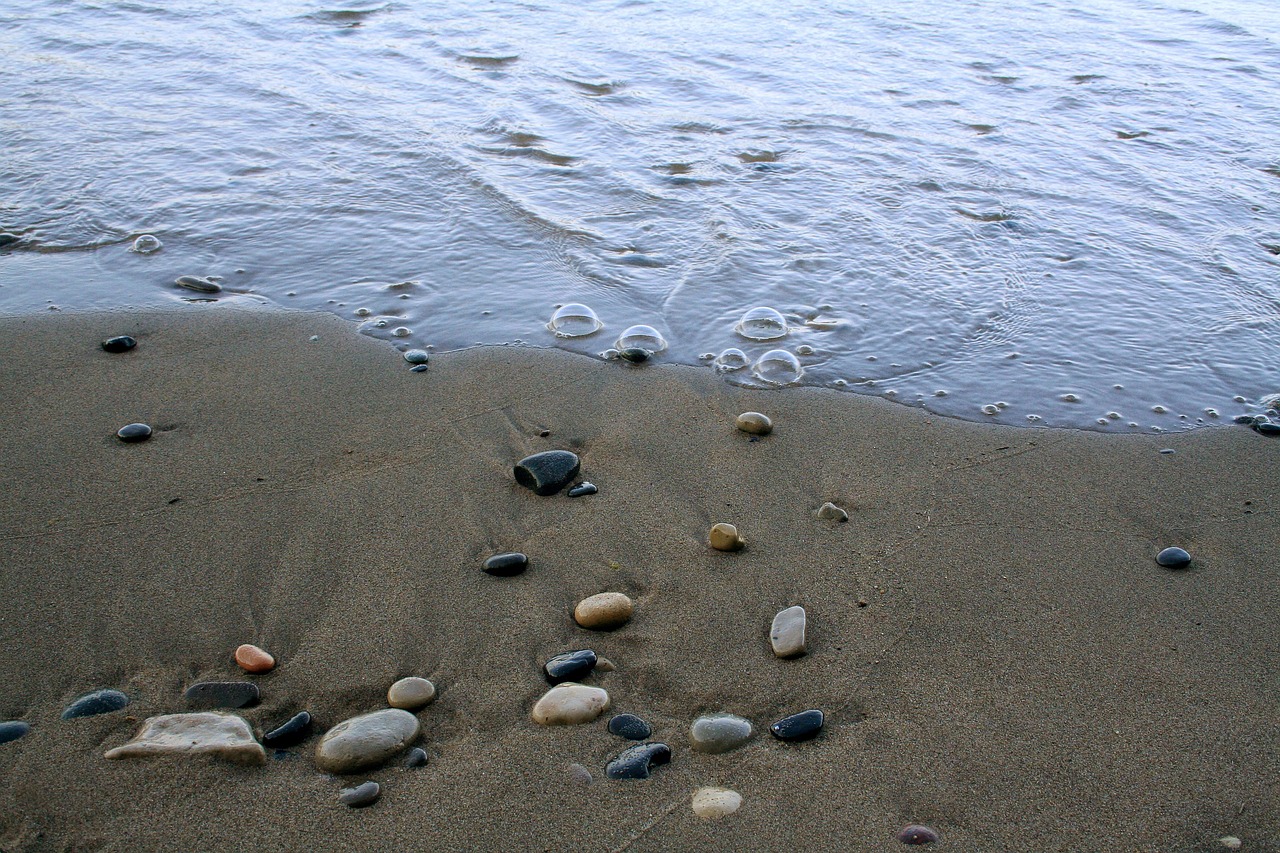 shore stones shoreline free photo