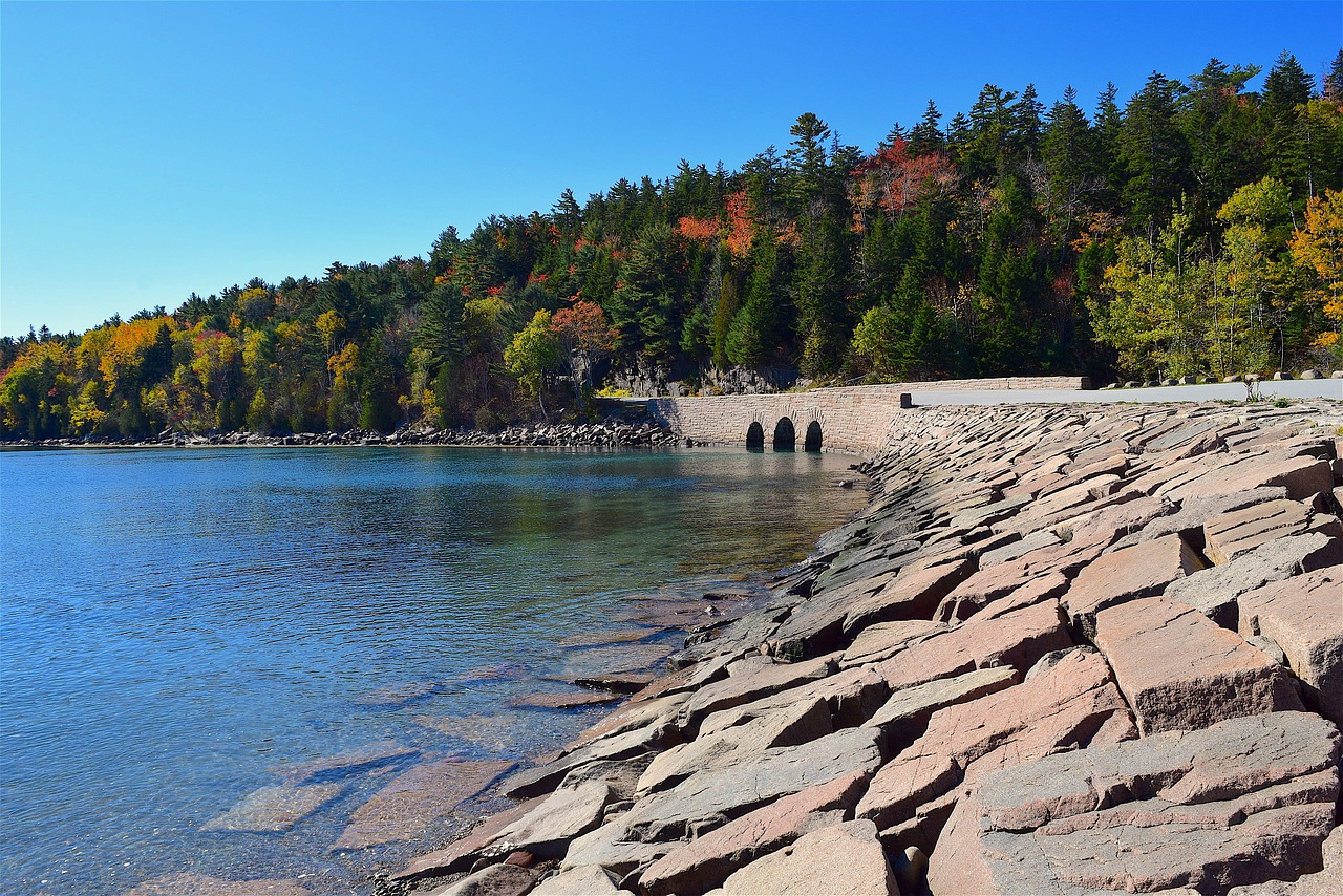 shore trees stone free photo