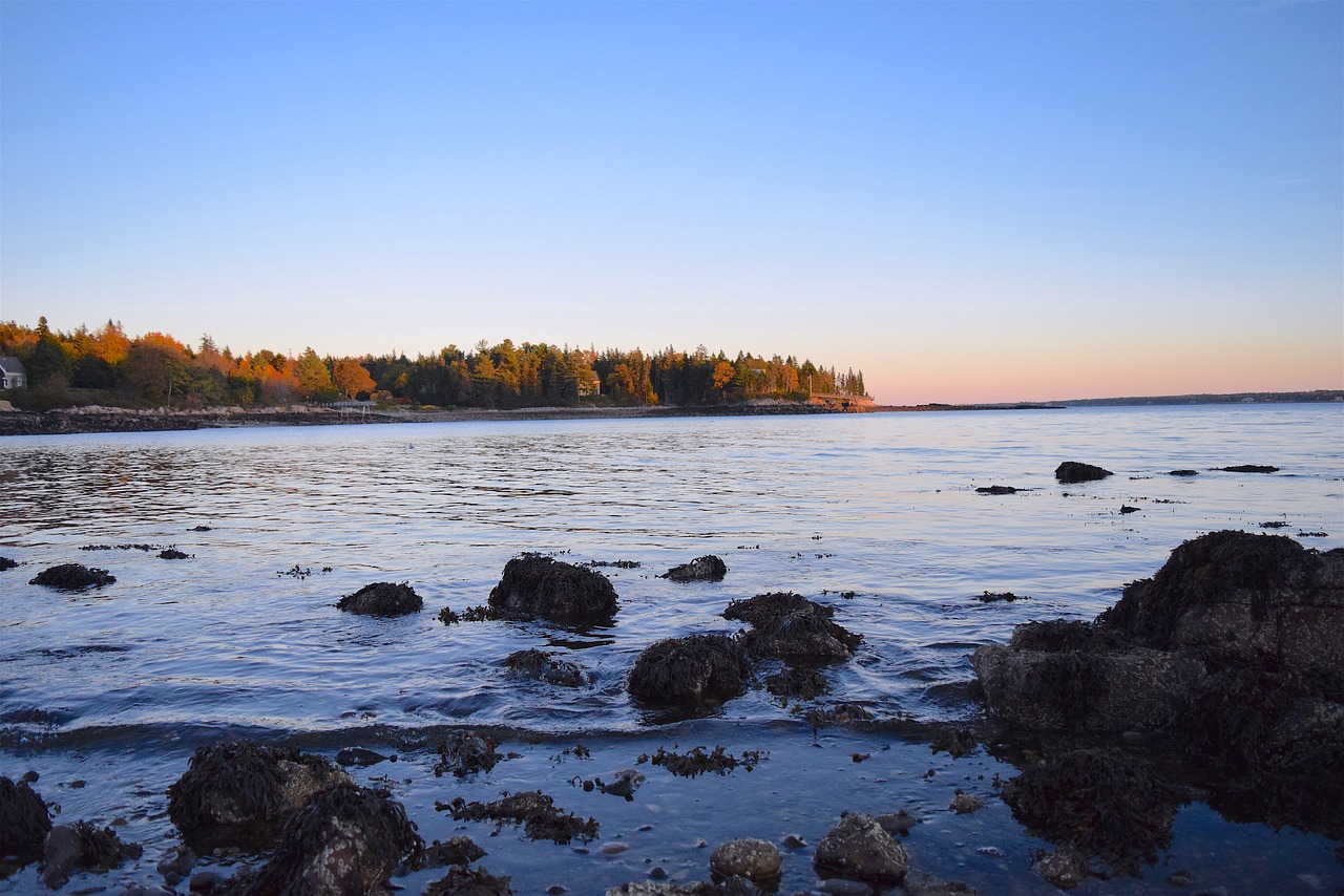 shore sea beach free photo