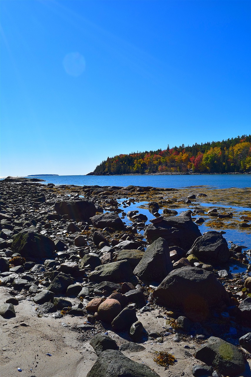 shore rocks ocean free photo