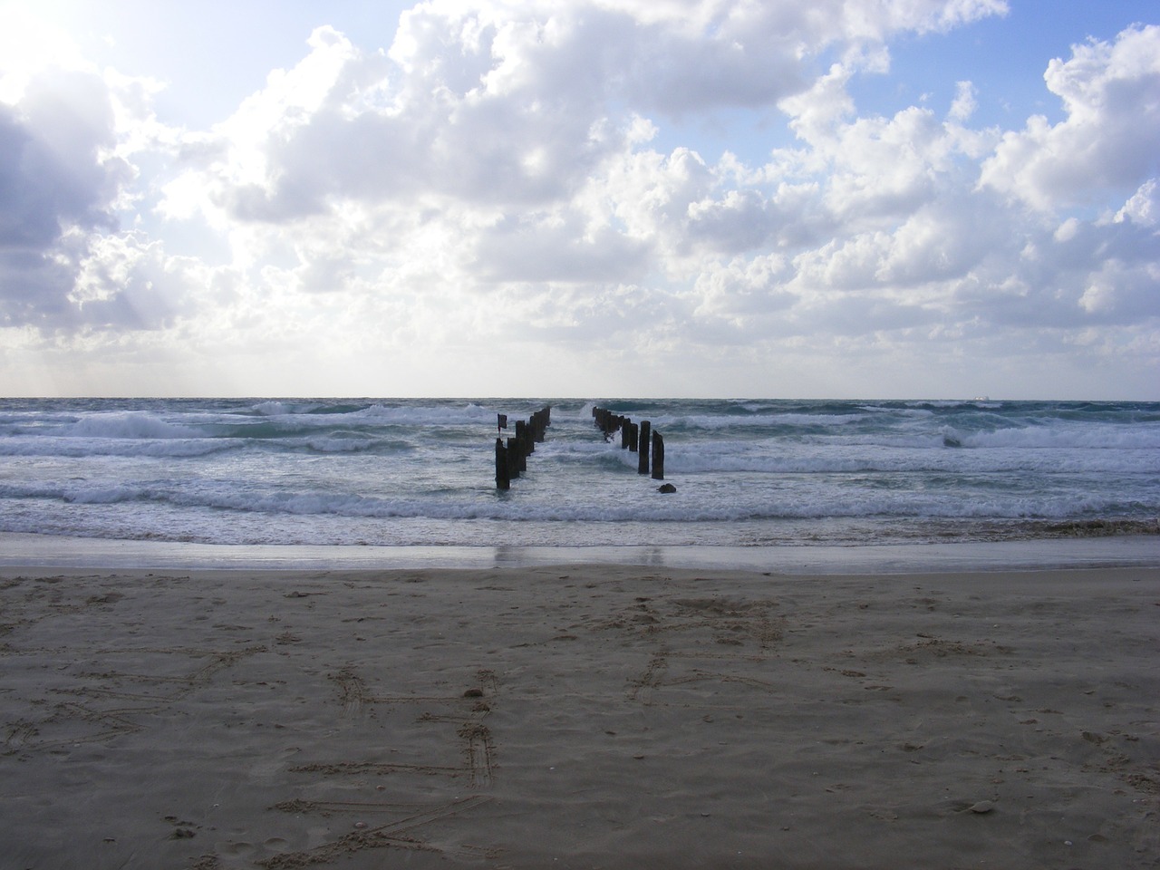 shore sandy beach cloudy free photo