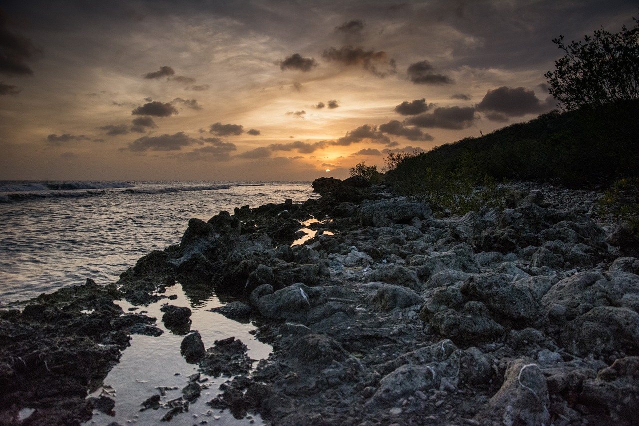 shore coast coastline free photo