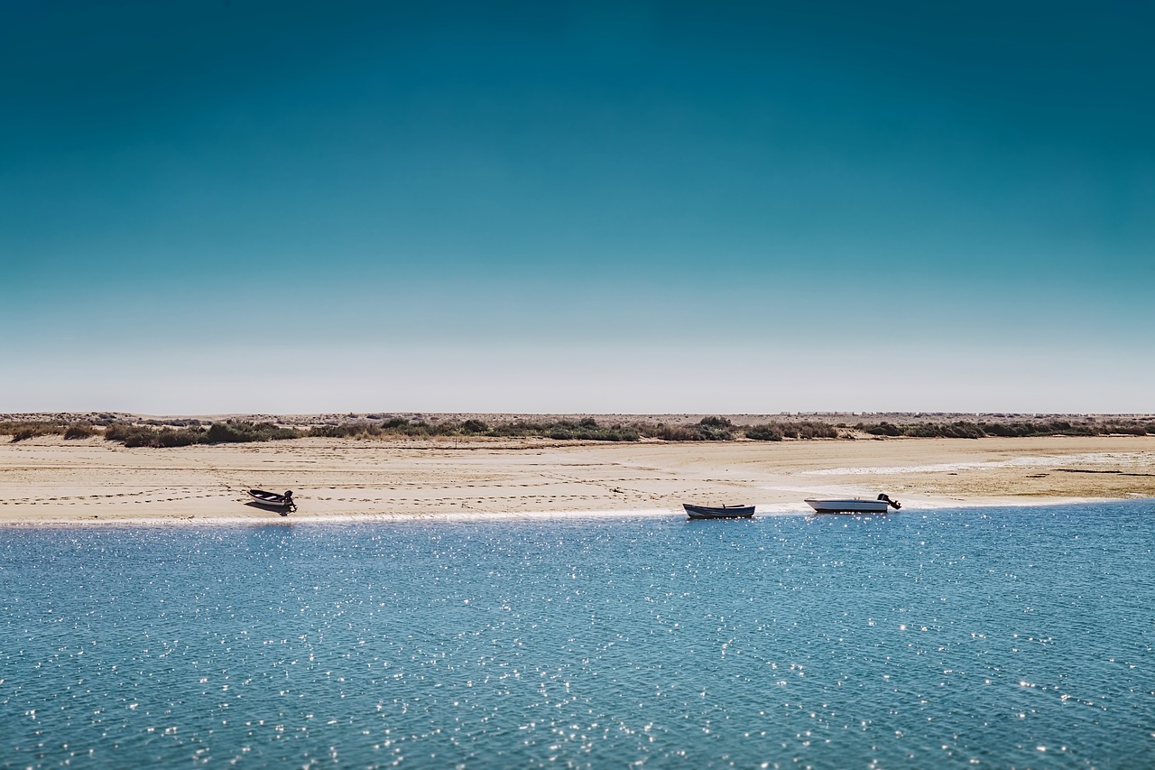 shore  boats  fishing free photo