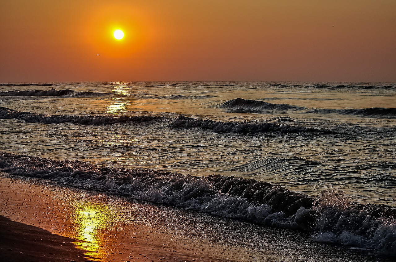 shore waves sunset free photo