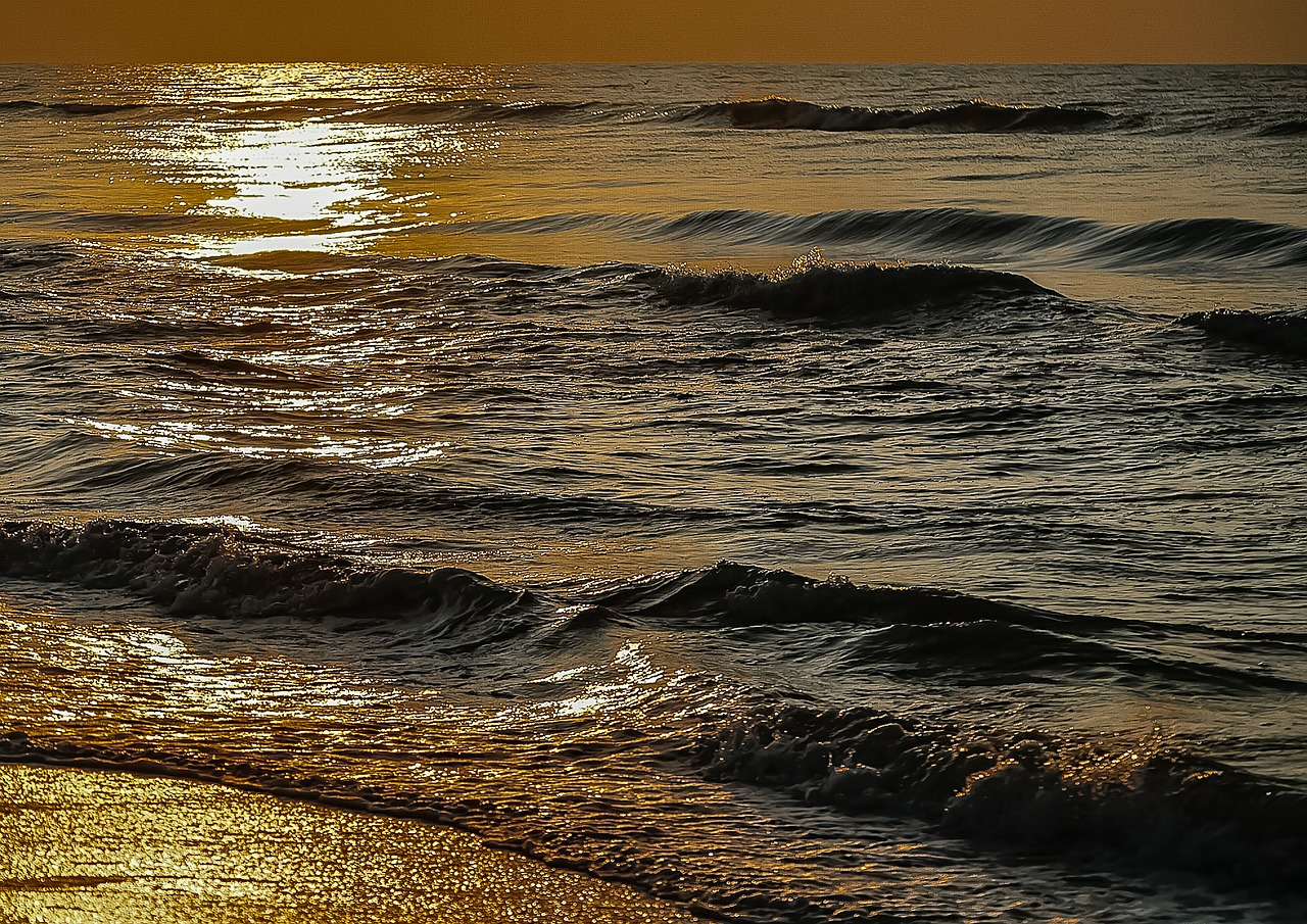 shore waves sunset free photo