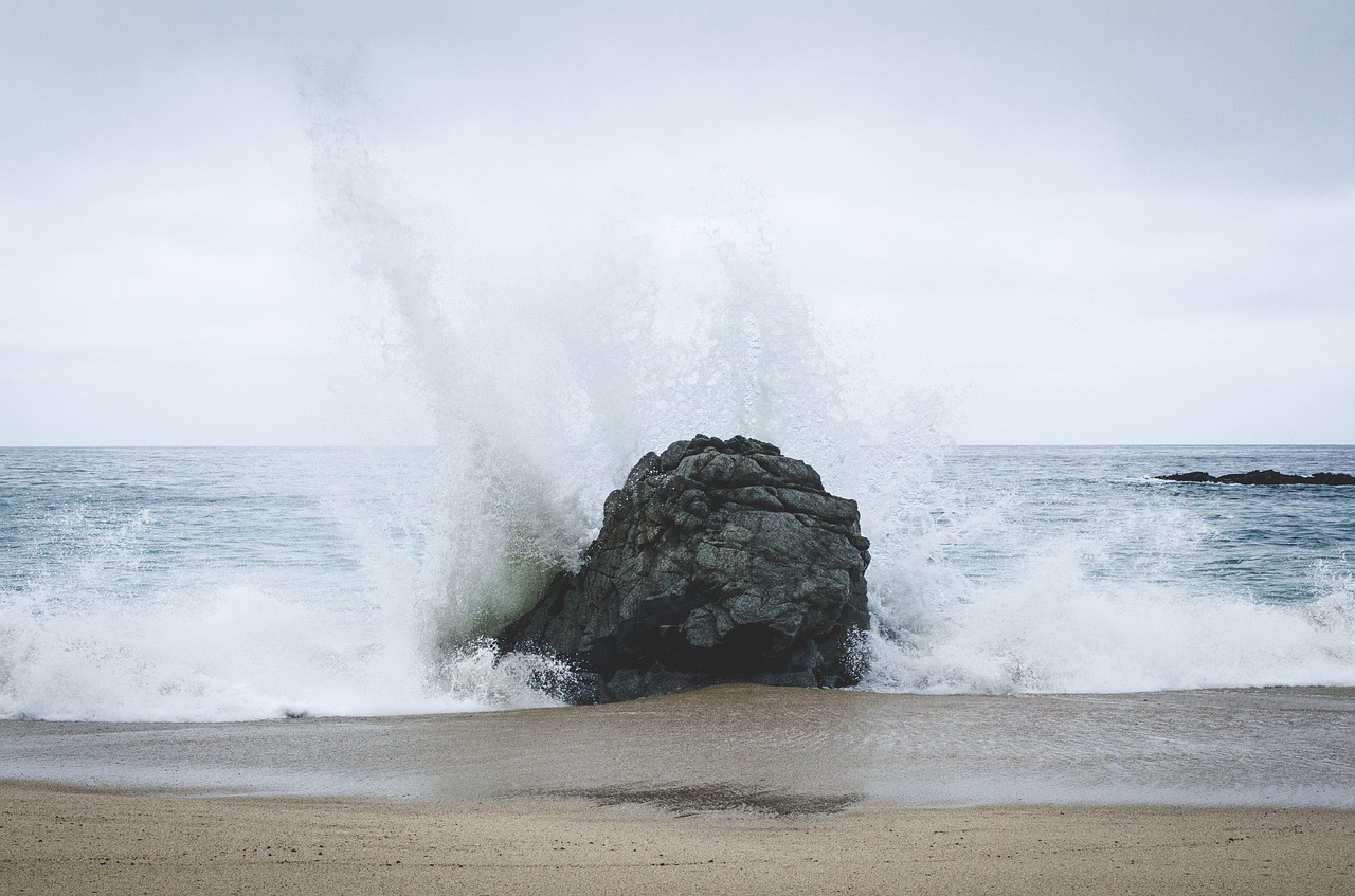 shore crash wave free photo