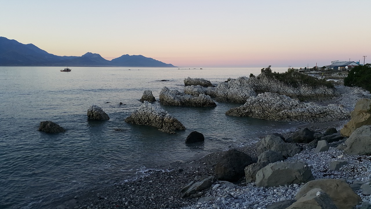 shore line evening sea free photo