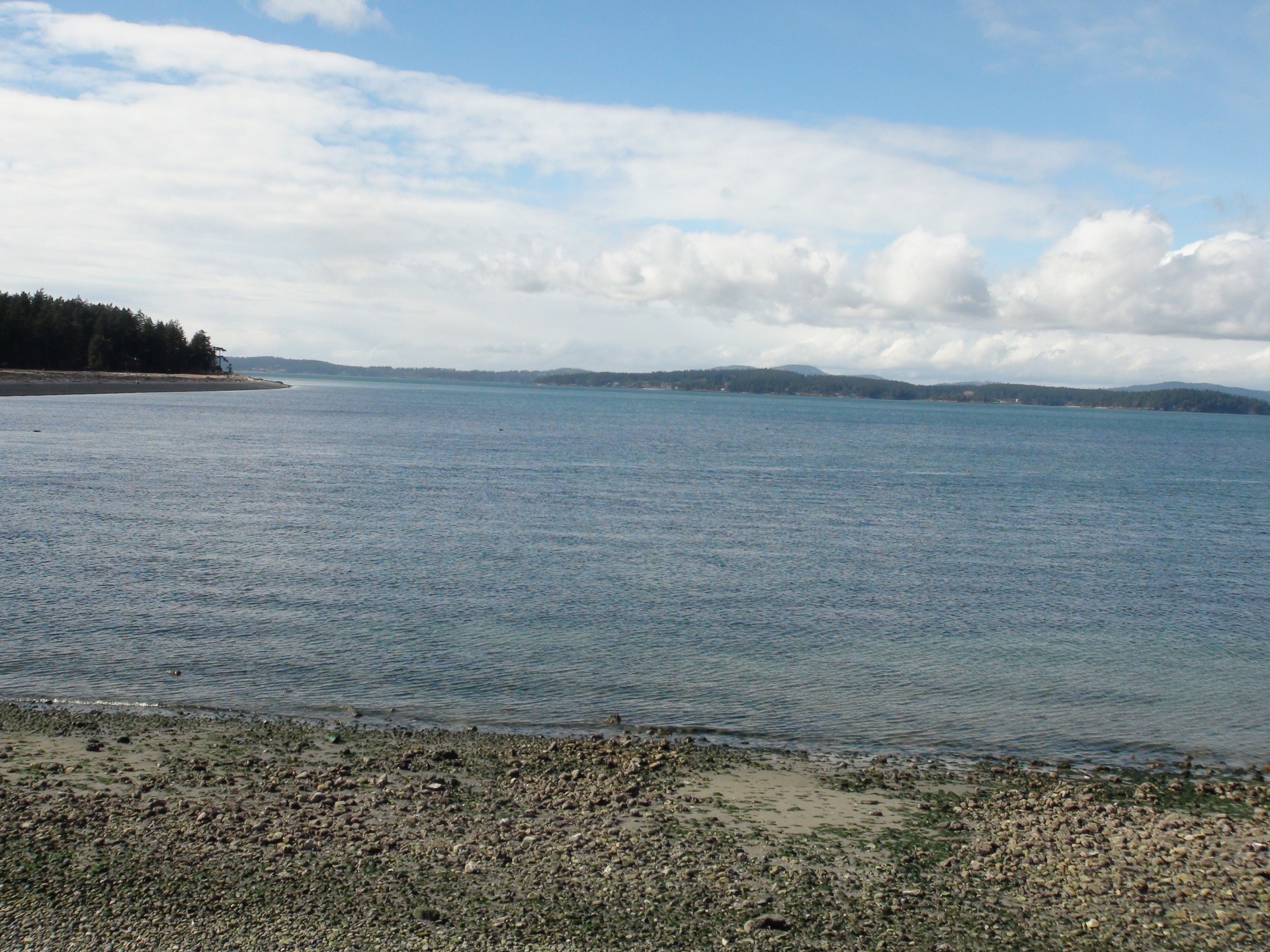 shore water fisherman free photo