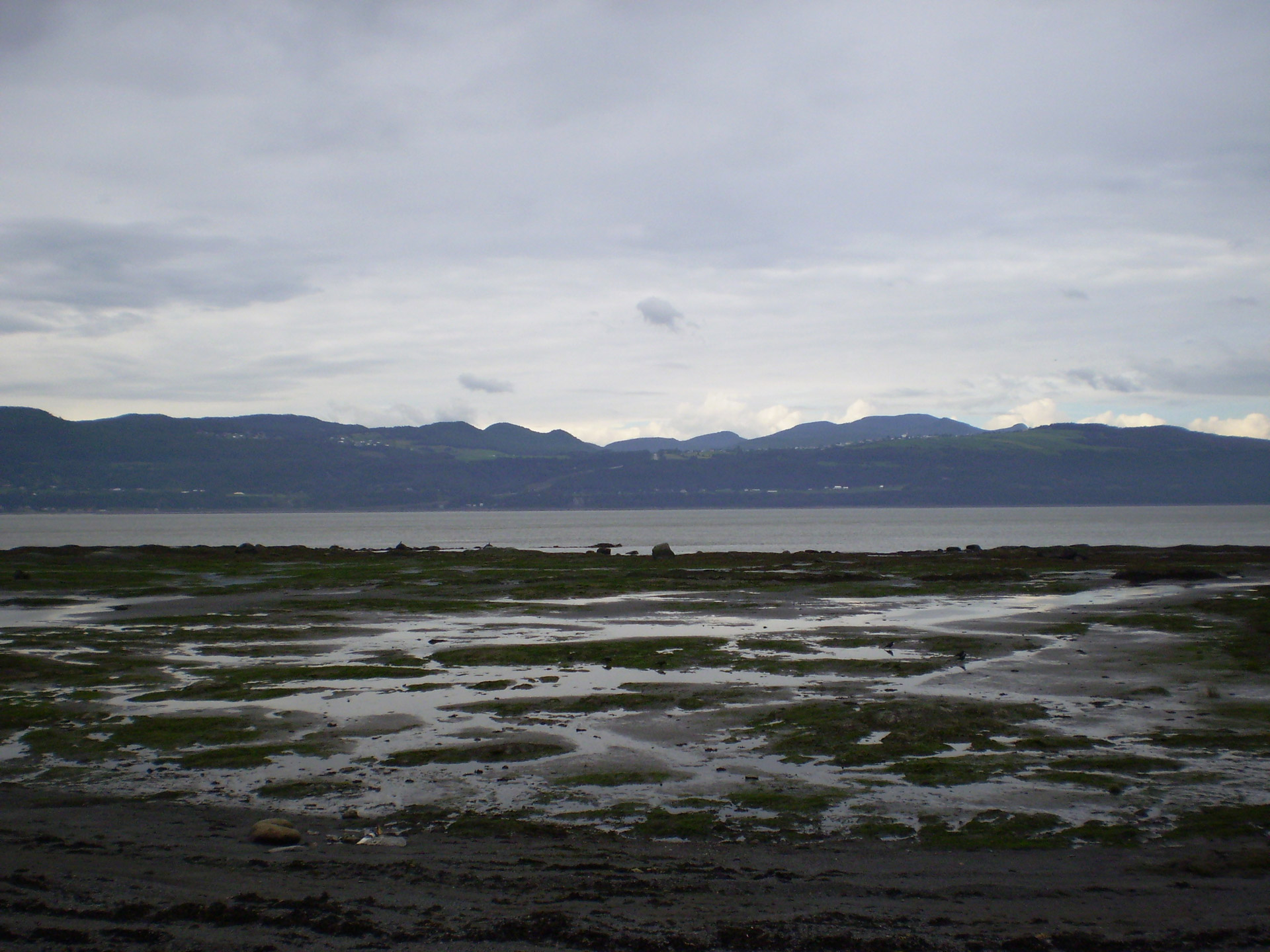 shore beach stream free photo