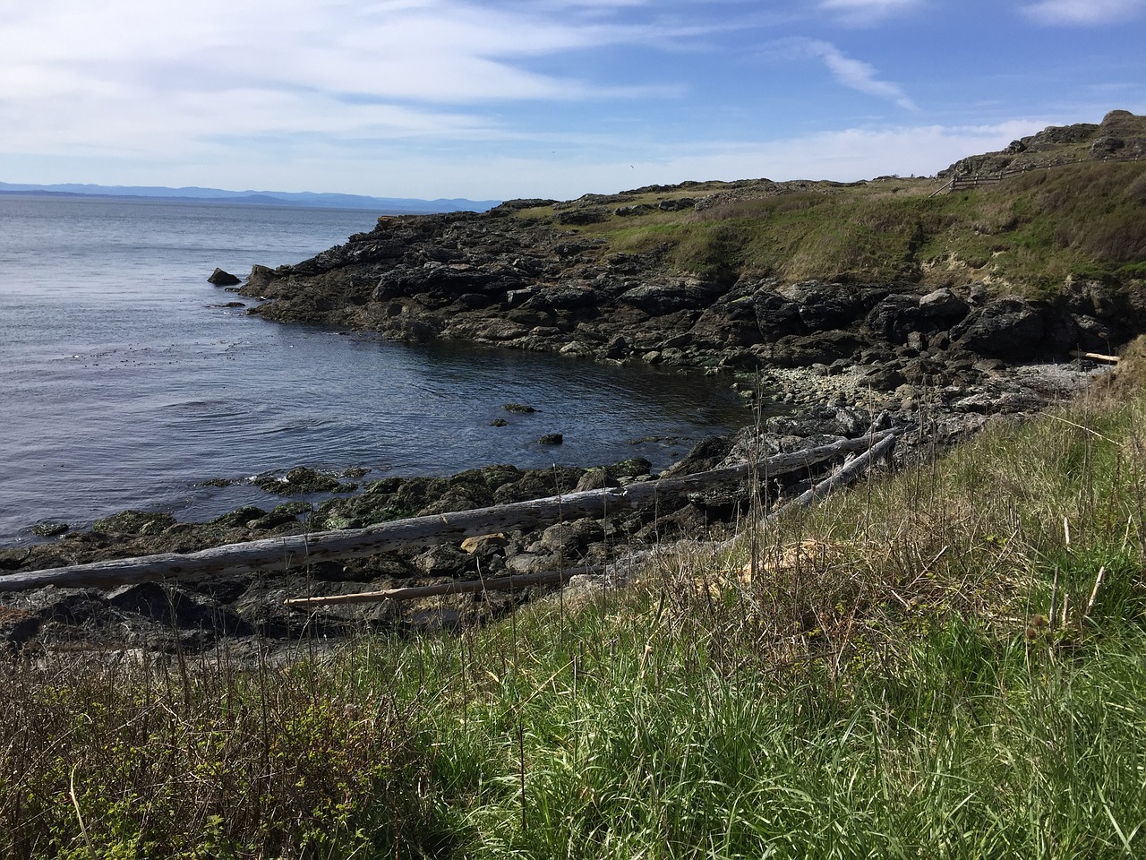 shoreline beach ocean free photo