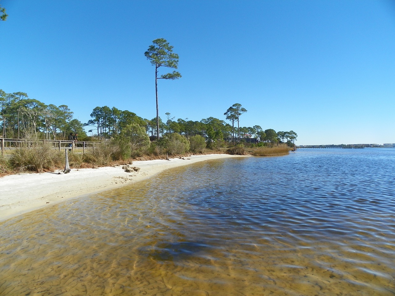 shoreline ocean sea free photo