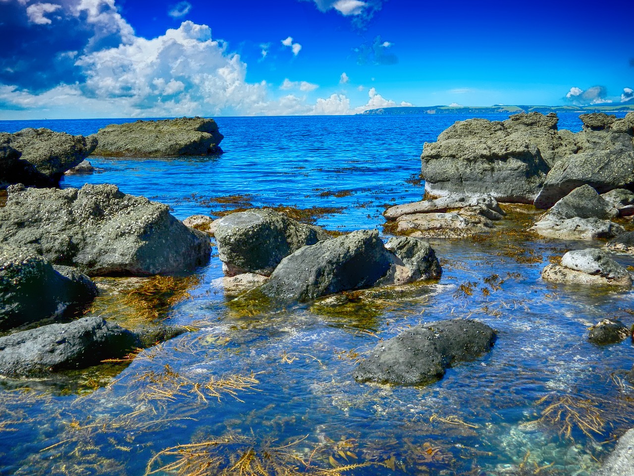 shoreline sea coast free photo