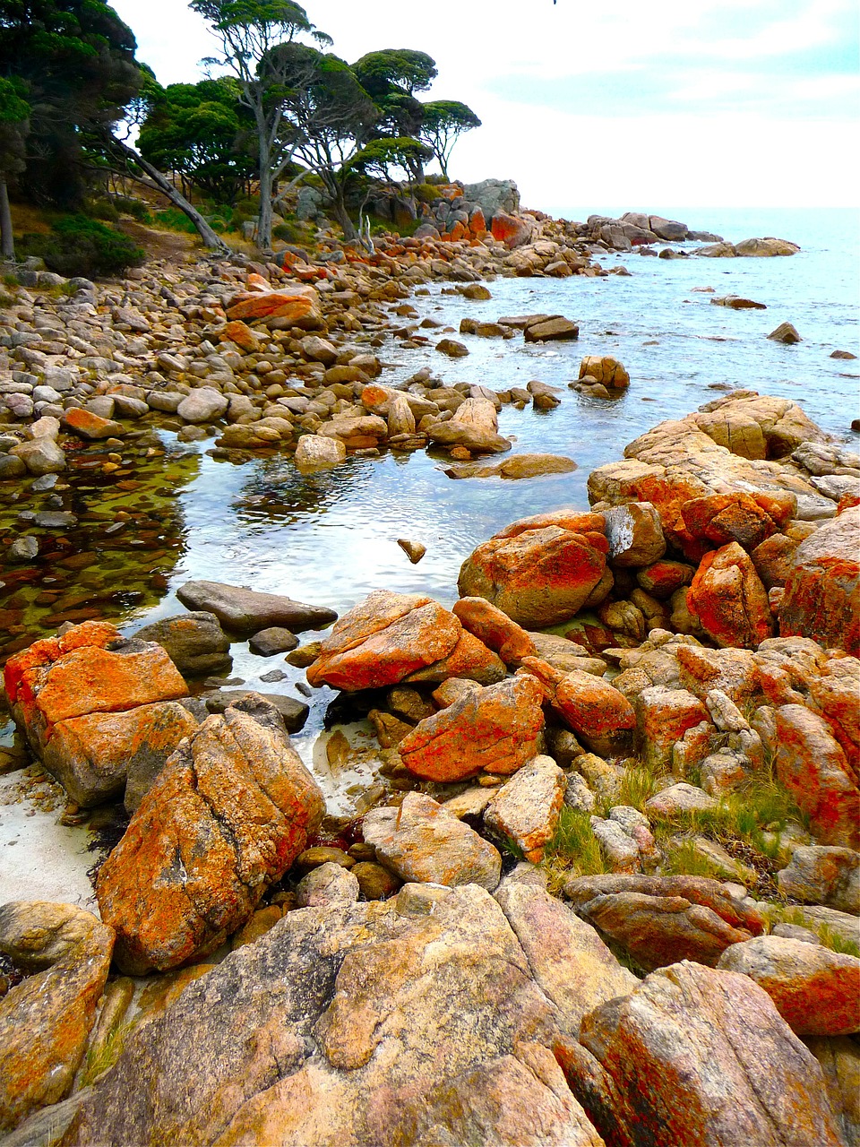 shoreline beach ocean free photo