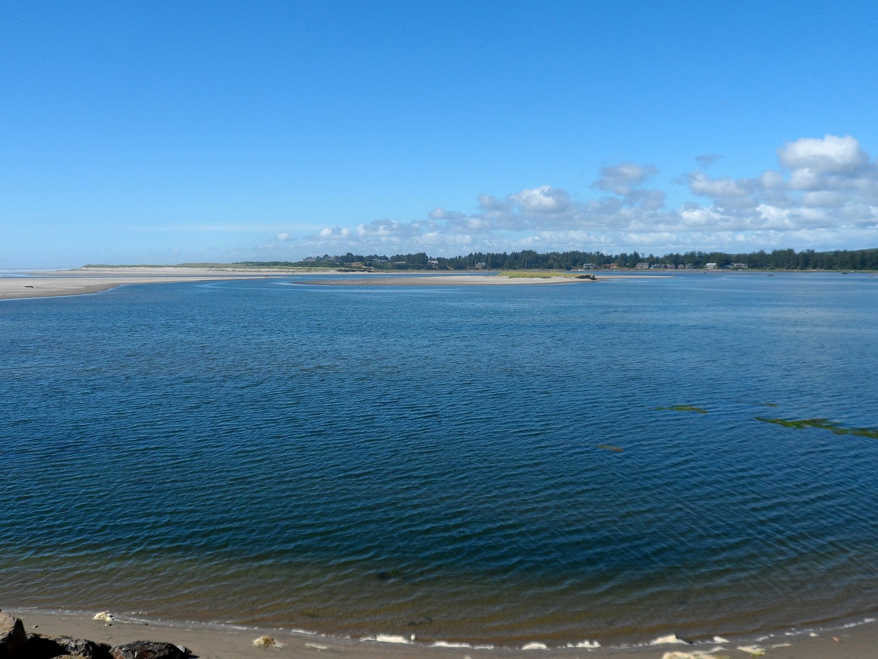 shoreline ocean coast free photo