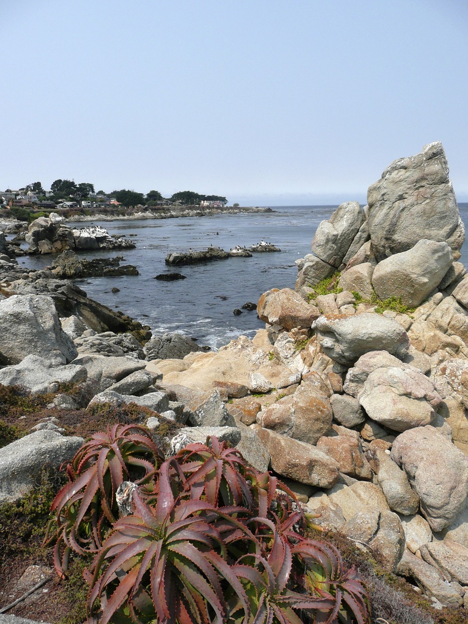 shoreline coast california free photo