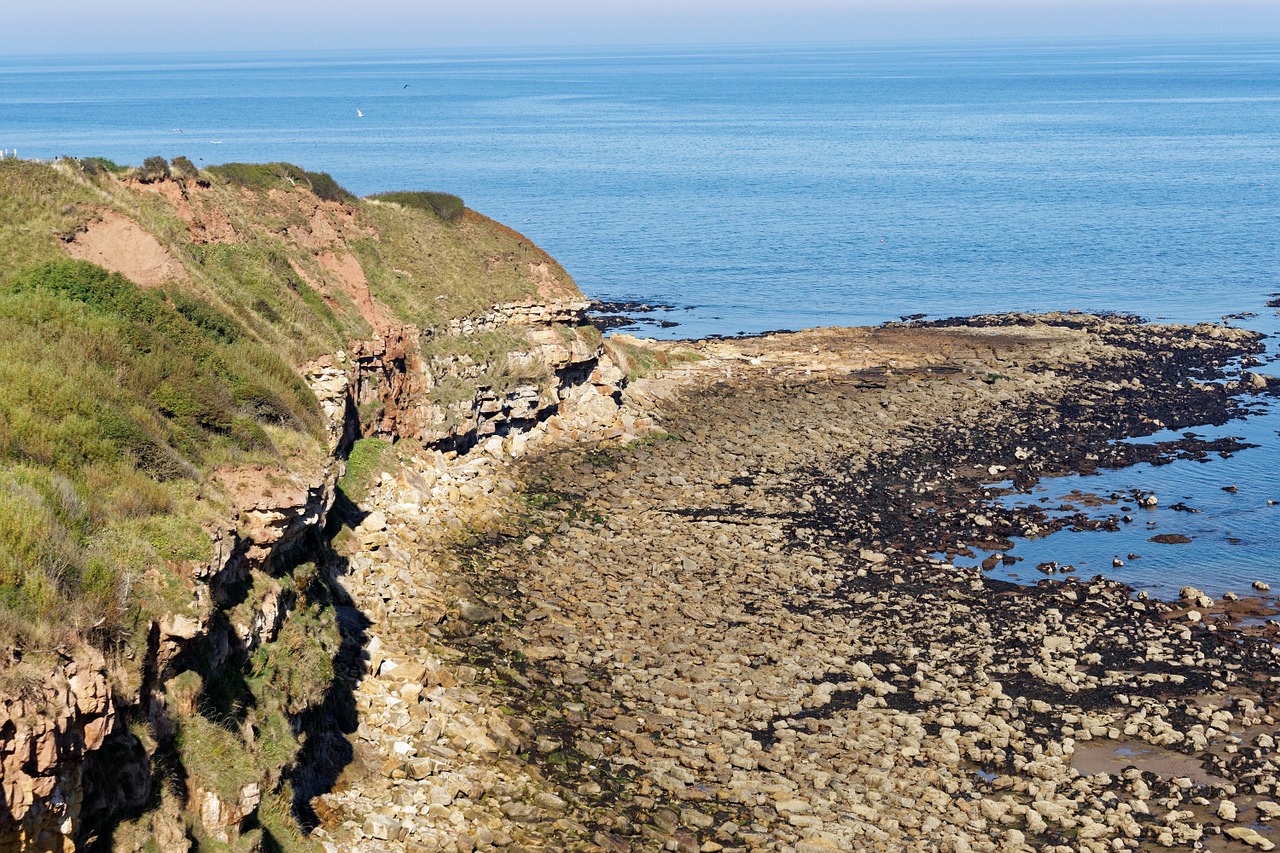 shoreline seaview ocean free photo