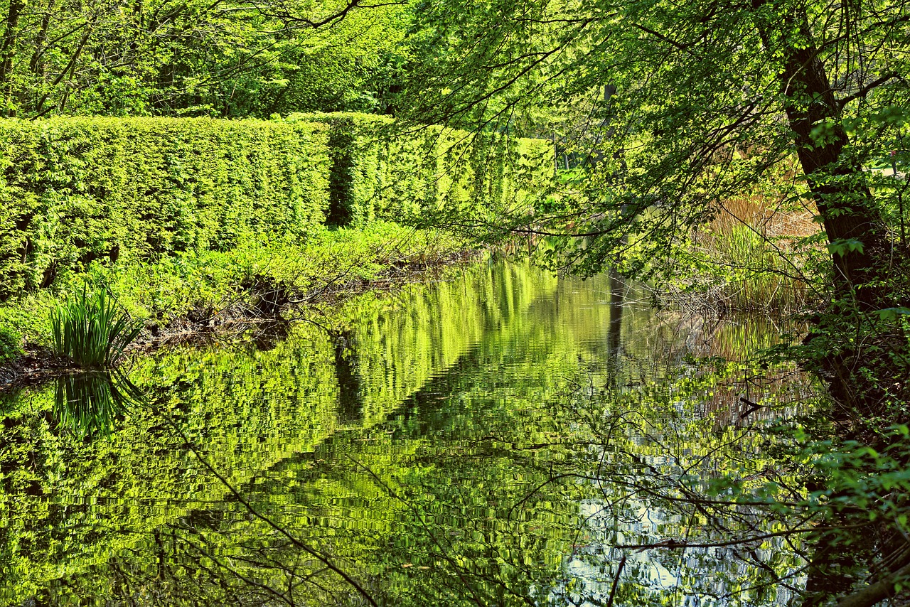 shorn hedge  canal  banks free photo