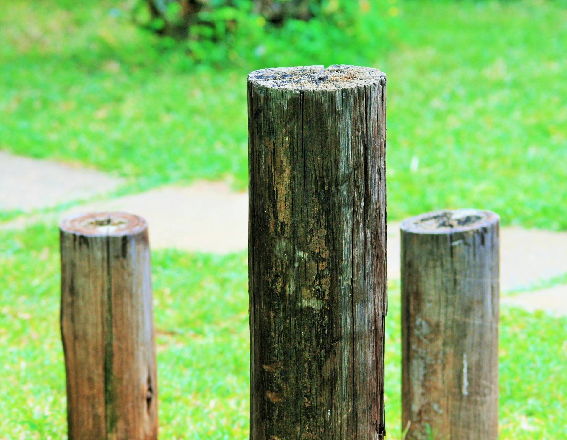 poles short wooden free photo