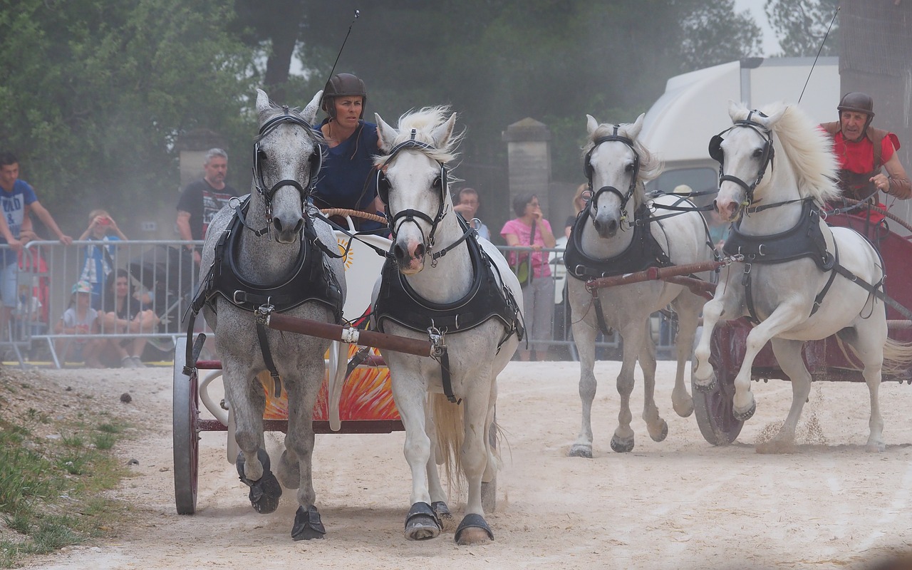 show  festival  medieval free photo