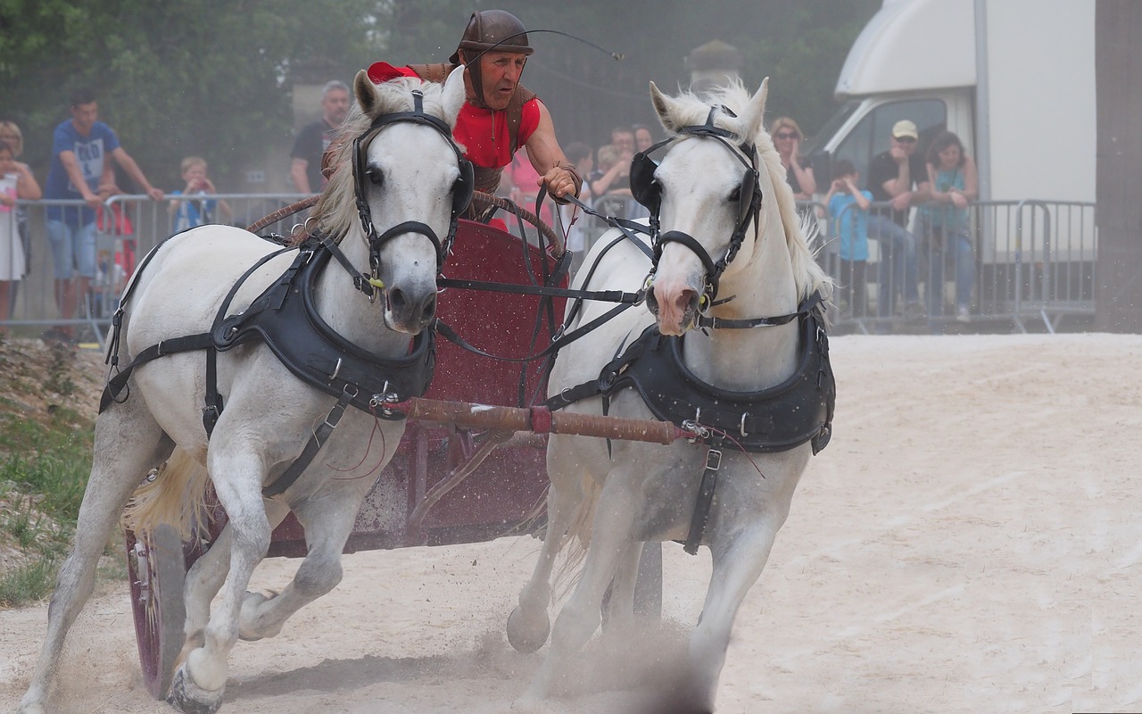 show  festival  medieval free photo