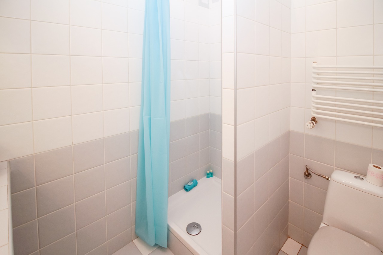 shower bathroom wc free photo