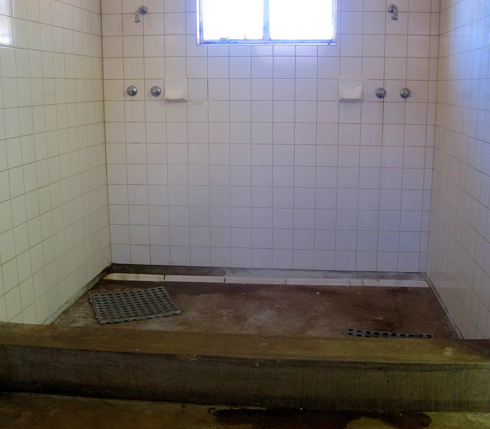 showers communal tiles free photo