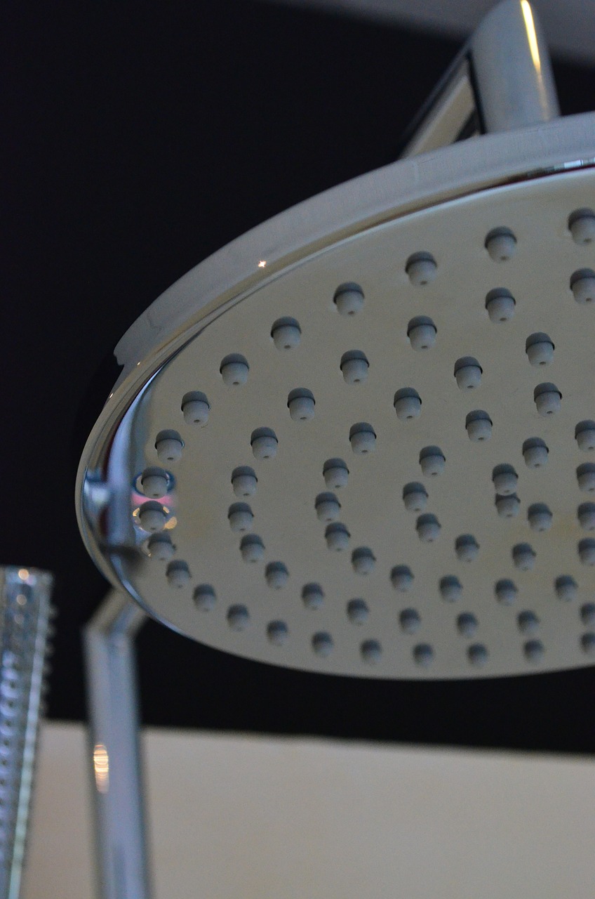 shower head shower bathroom fixtures free photo