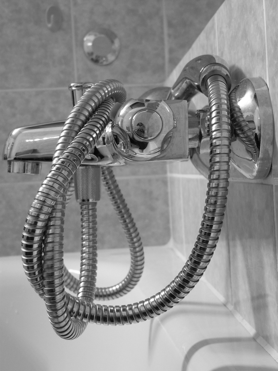 shower head valve shower free photo
