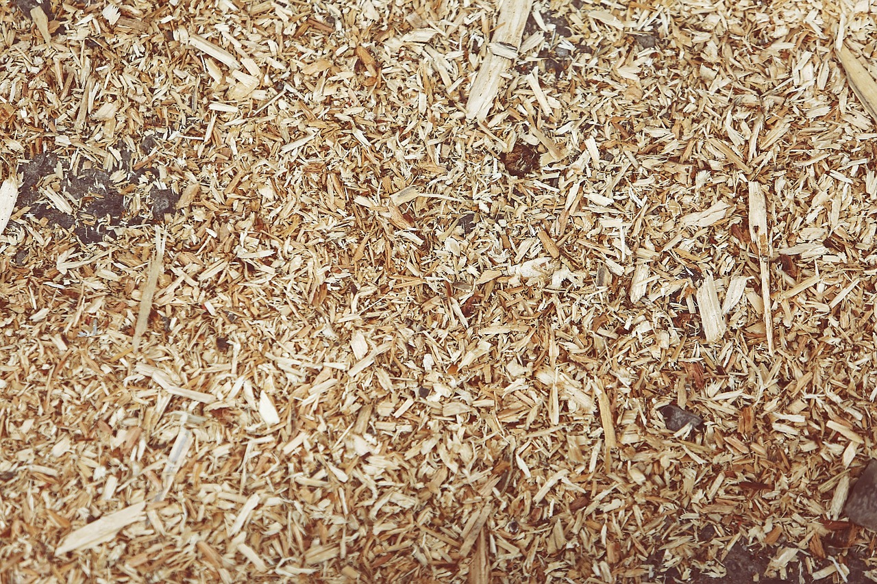 shredded wood wood chips mulch free photo