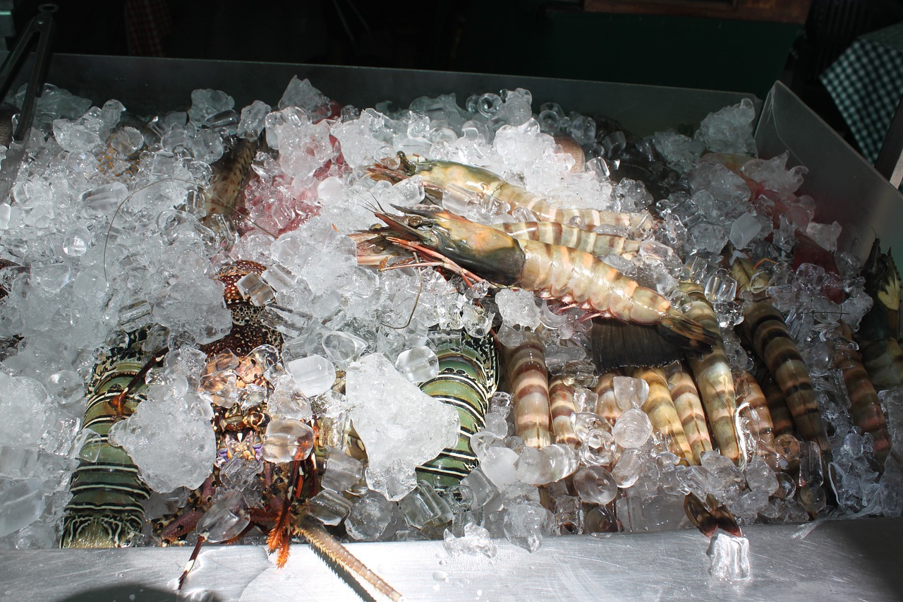 shrimp food seafood free photo