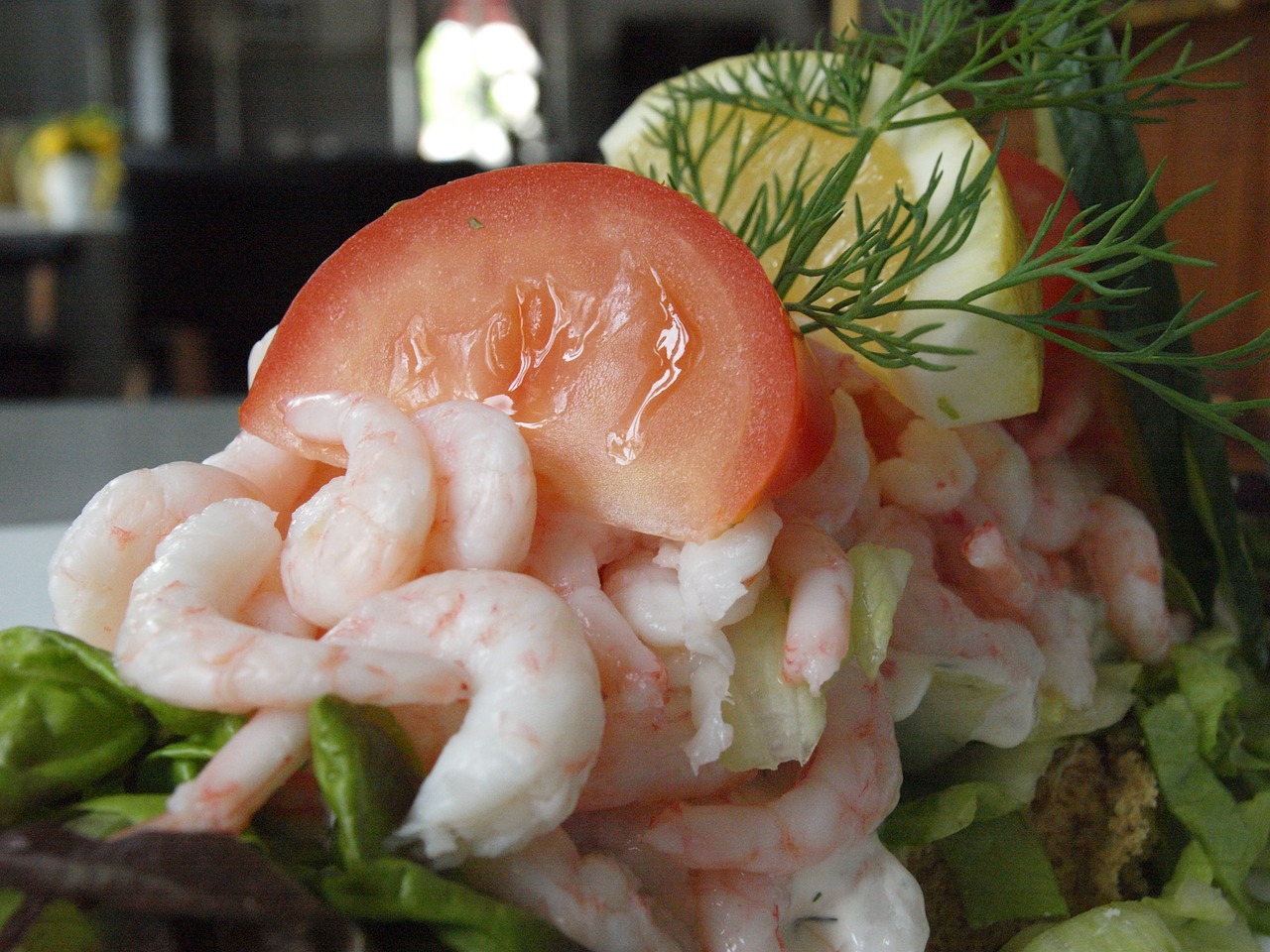 shrimp tomato dill free photo