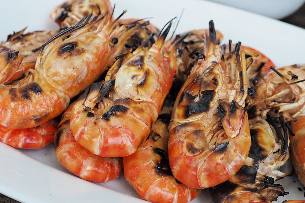 shrimp grilled shrimp food free photo