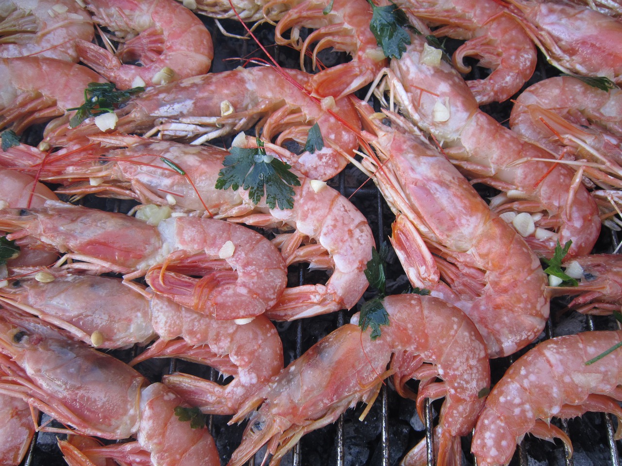 shrimp red shrimp grill free photo