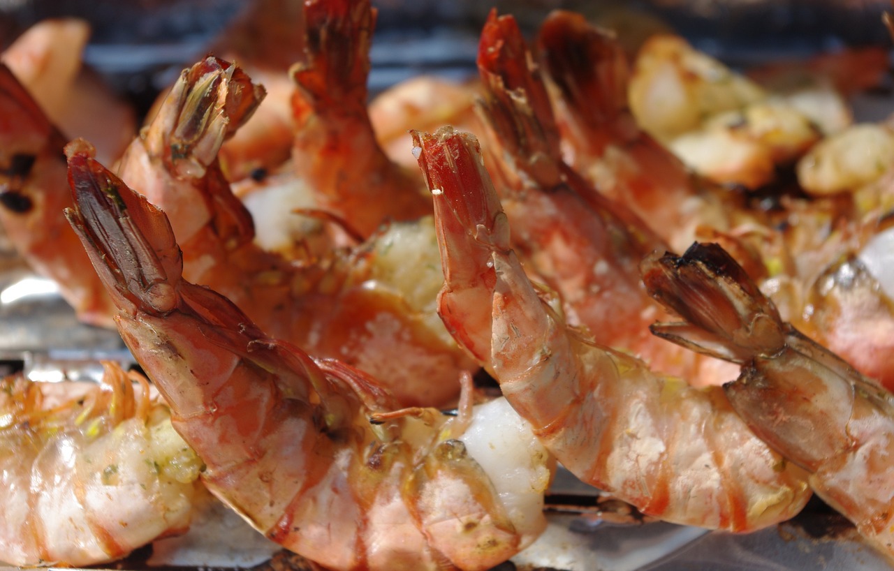 shrimp fish grill free photo