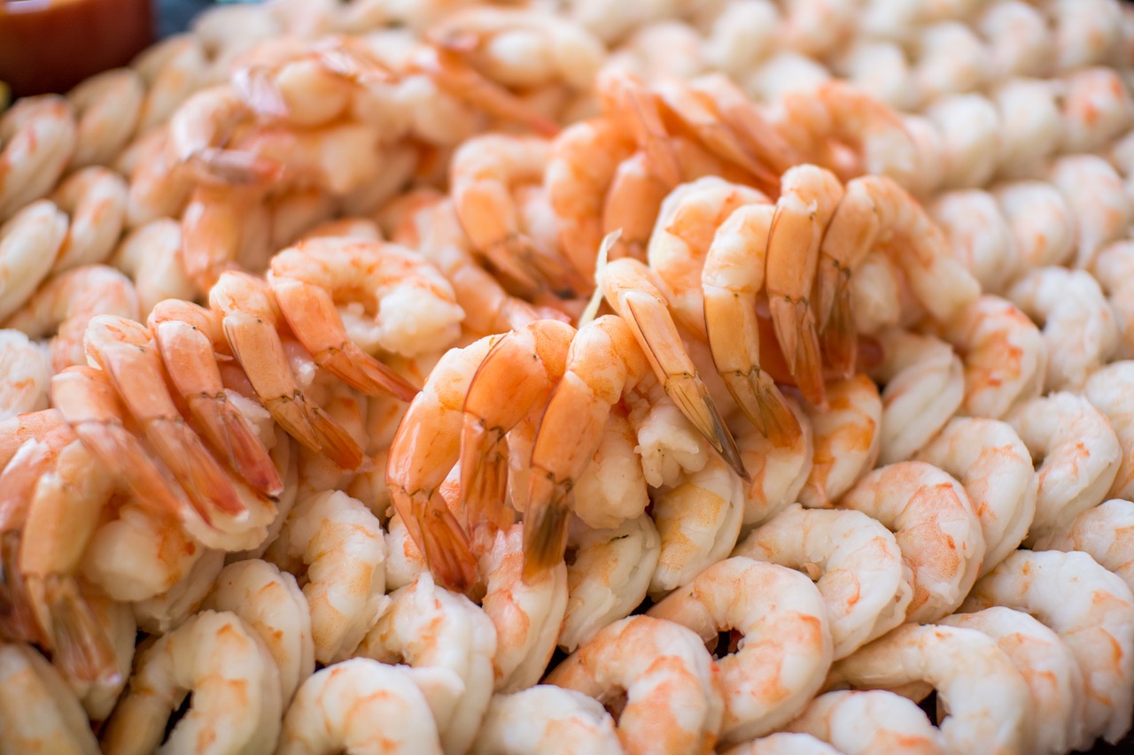 shrimp seafood prawn free photo