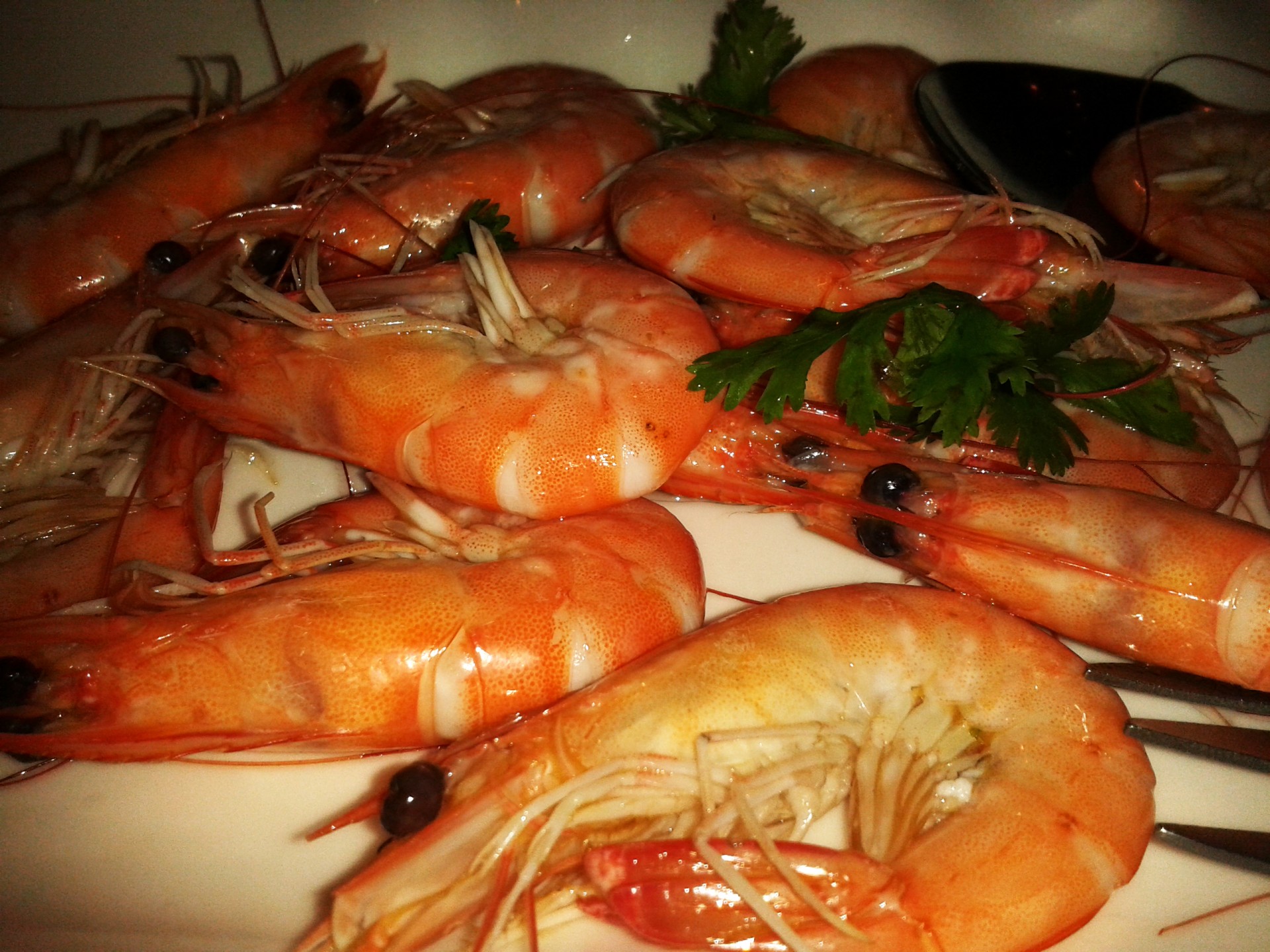 seafood shrimp prawn free photo