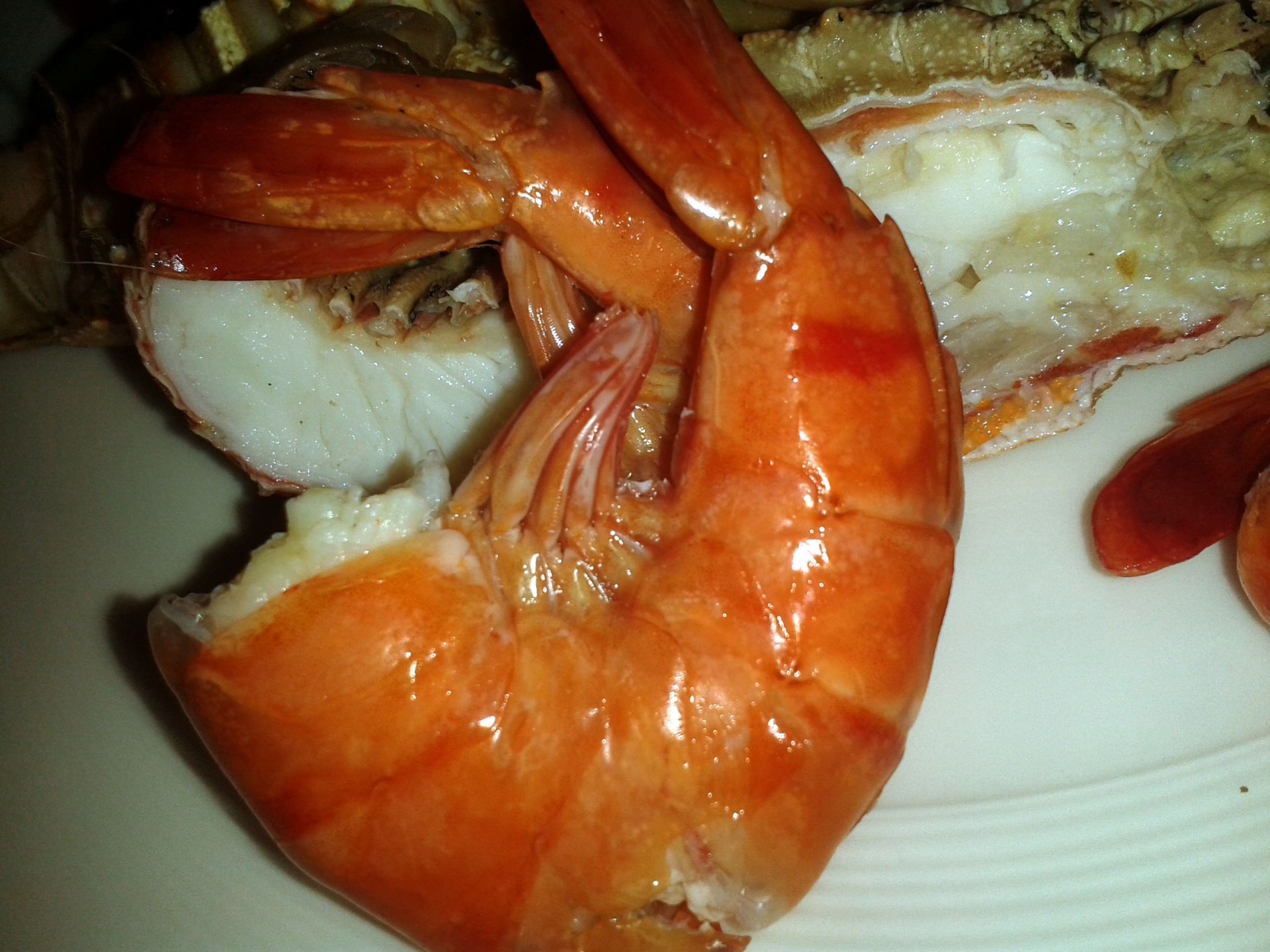 shrimp cooked shrimp shrimp meat free photo