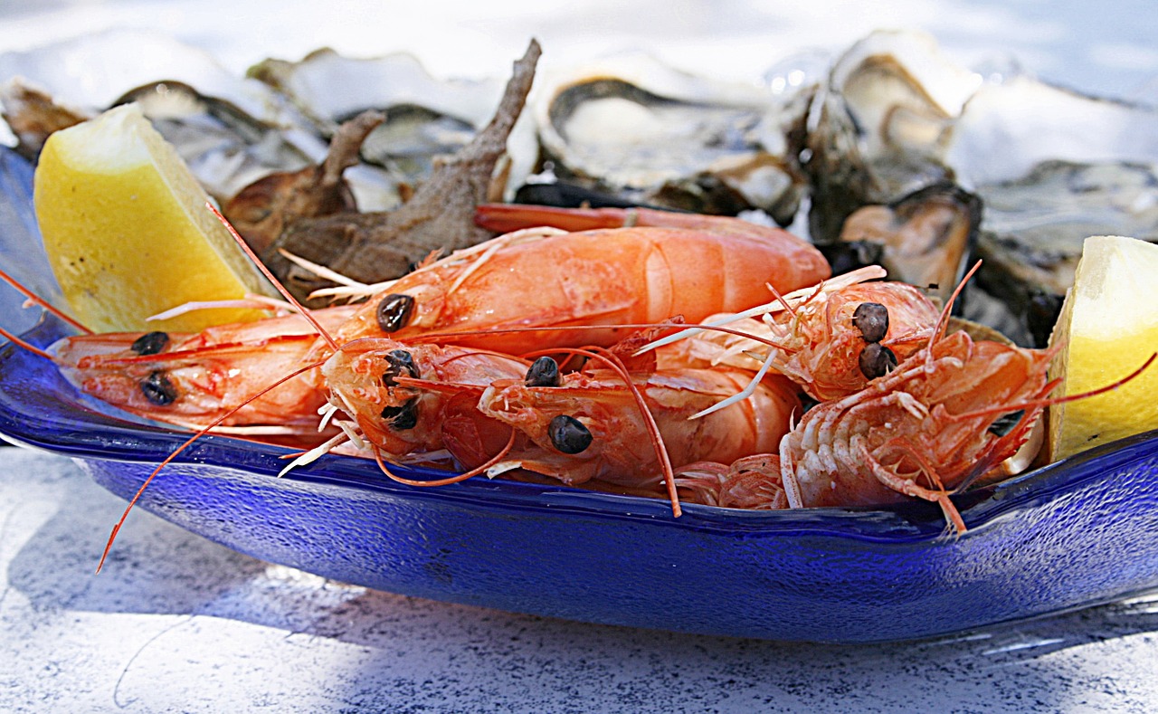 shrimp oyster seafood free photo