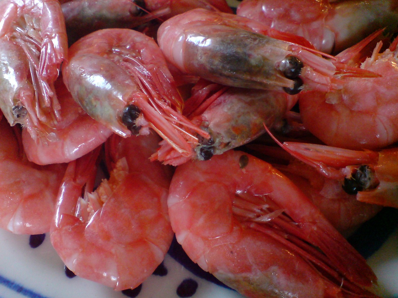 shrimp seafood side plate free photo