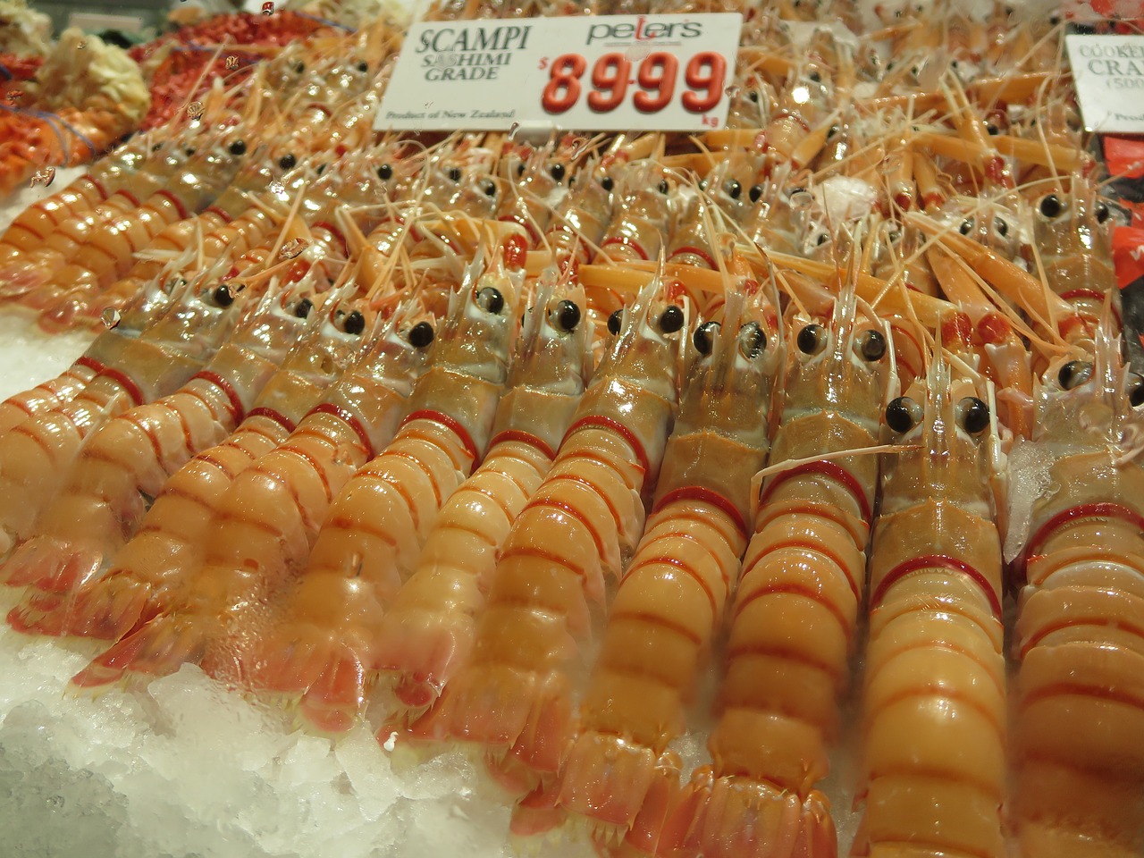 shrimp prawn raw free photo