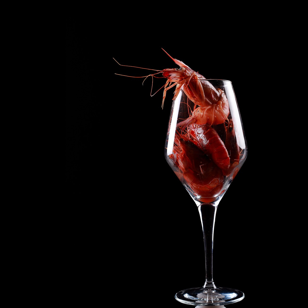 shrimp red glass free photo