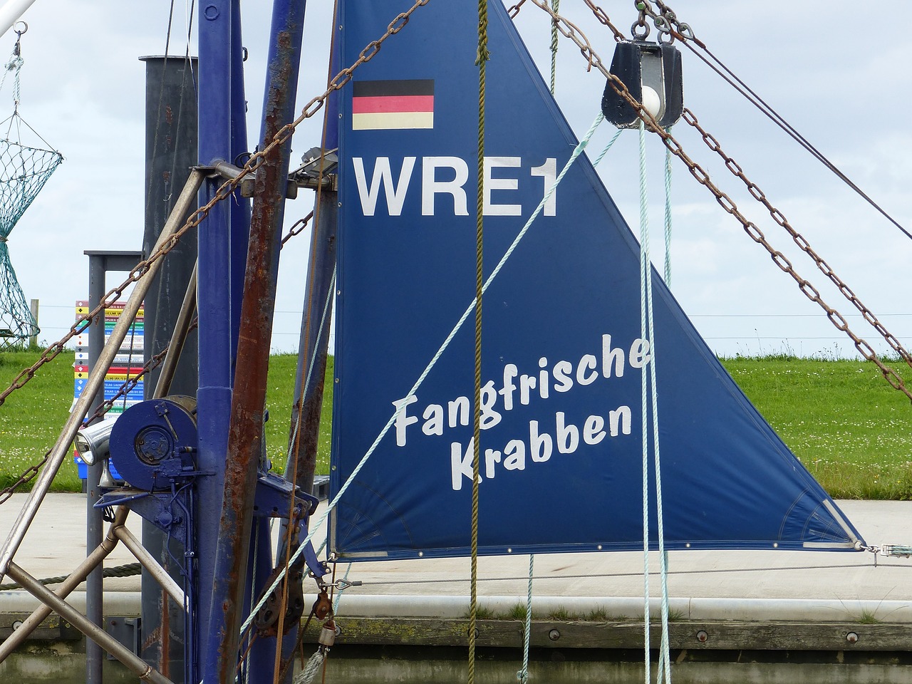 shrimp north sea fishing port free photo