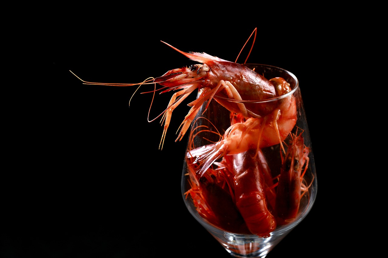 shrimp food red free photo