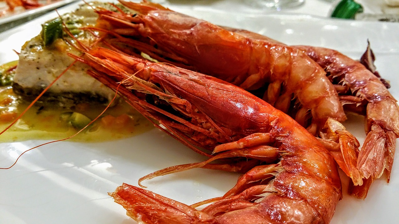 shrimp fish appetizer free photo