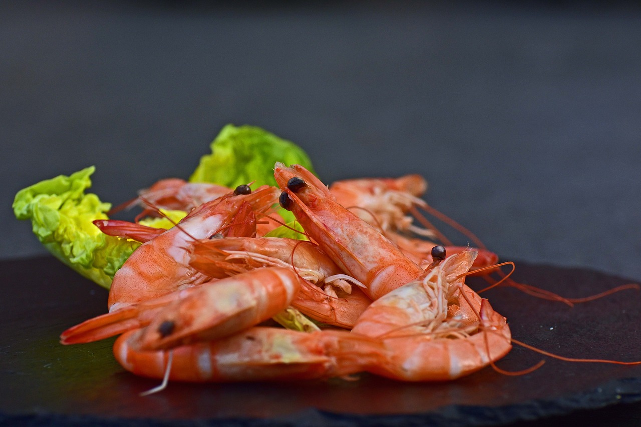 shrimp  cooked  unpeeled free photo